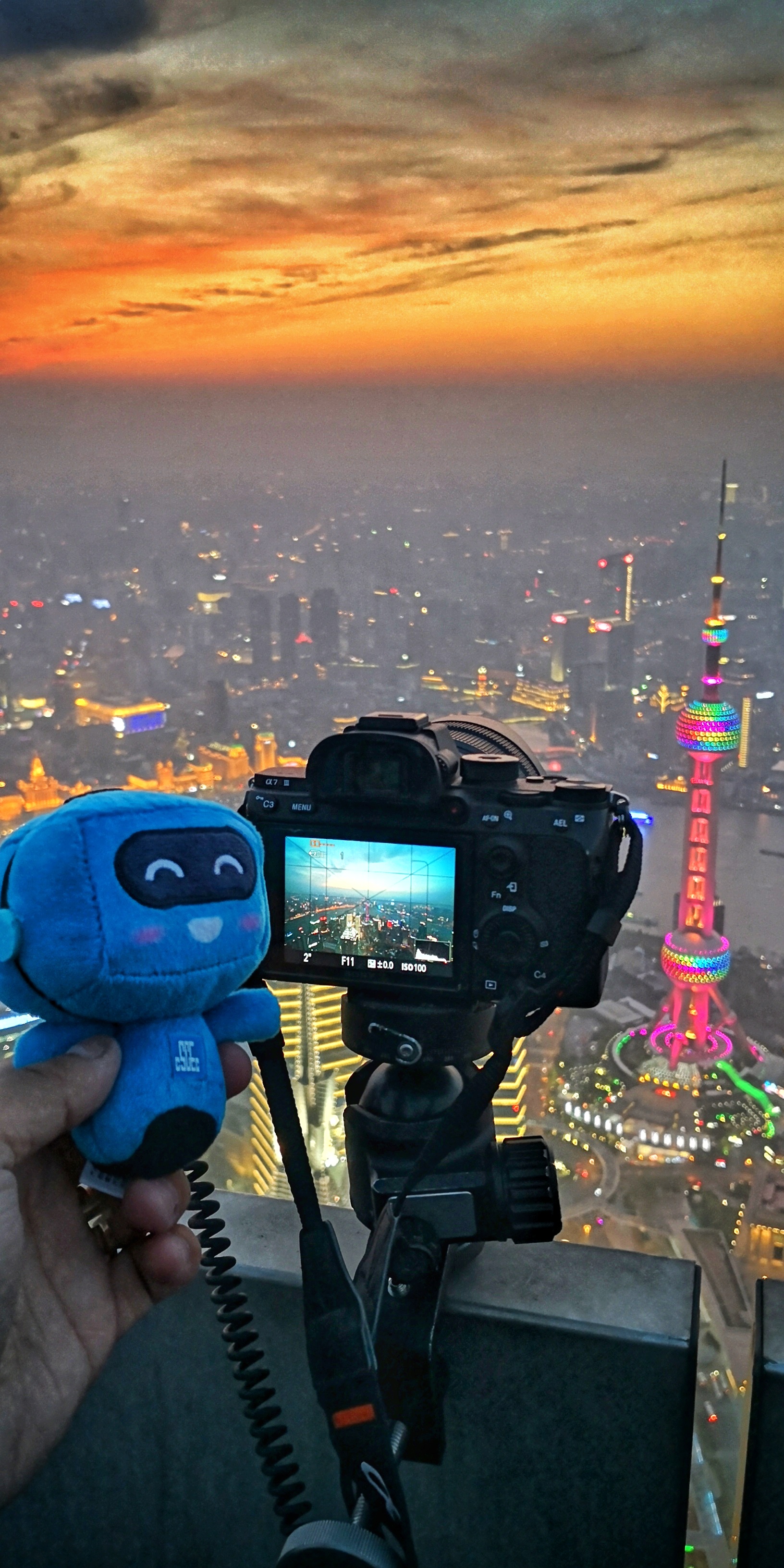 《带上蓝宝去远行8》—图片说明：蓝宝在上海环球金融中心—作者：夏天龙—电话：18702122565.jpg