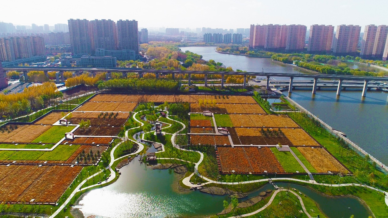 长春永宁路人工湿地完工