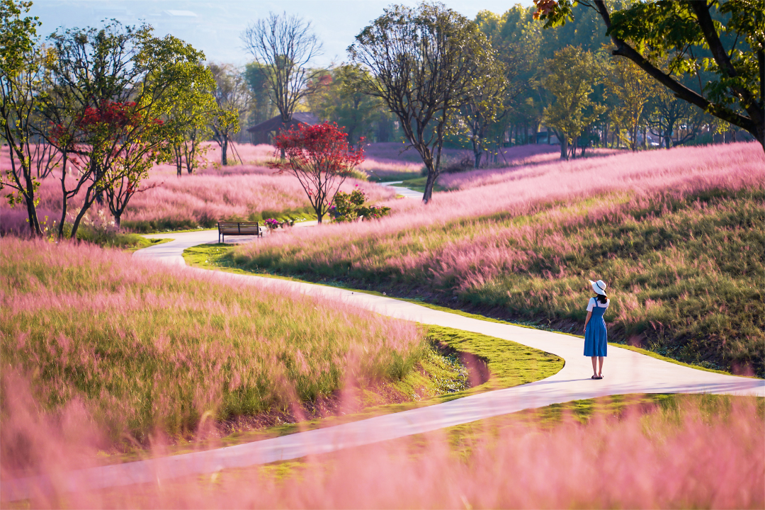 W020220331605253916539.jpg W020220331605253916539.jpg