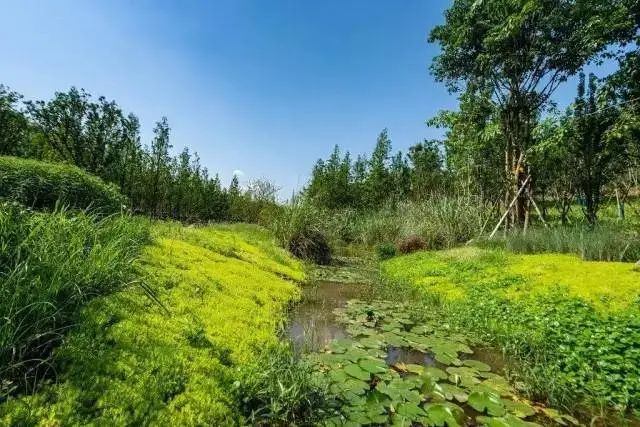 W020220331605254766036.jpg W020220331605254766036.jpg