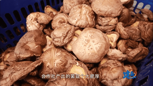 640.gif 640.gif