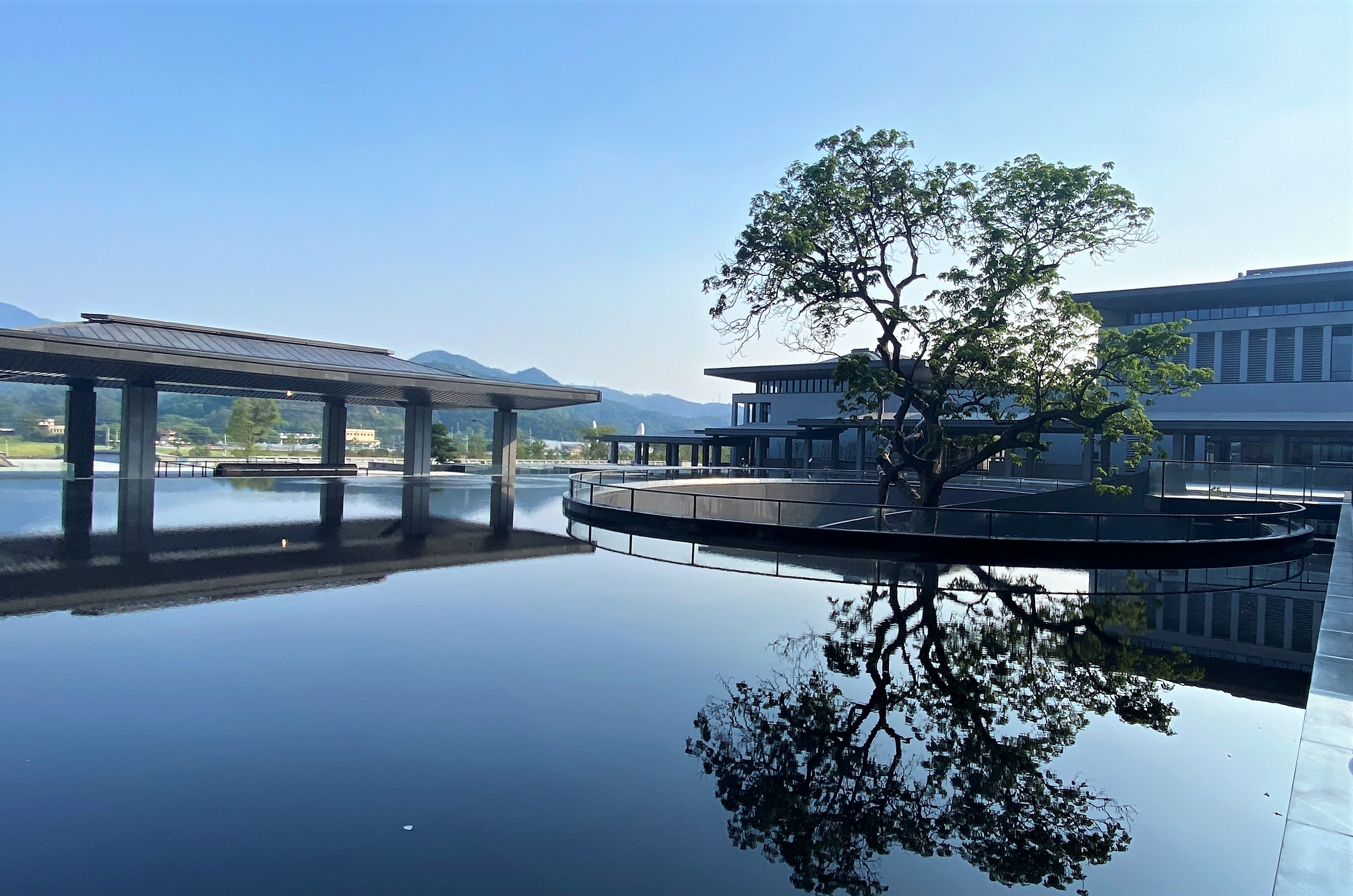 中国国家版本馆广州分馆 (4).jpg