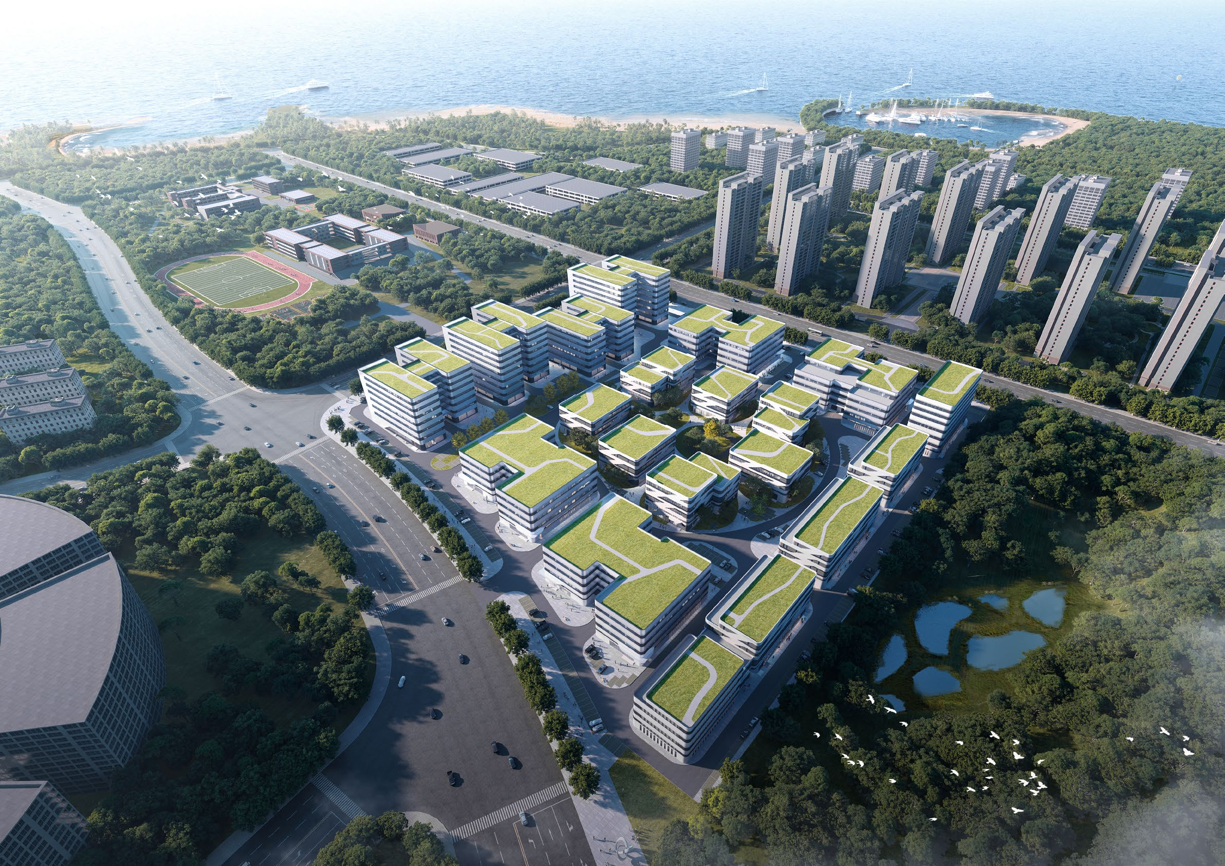 青岛国药生命港项目.png