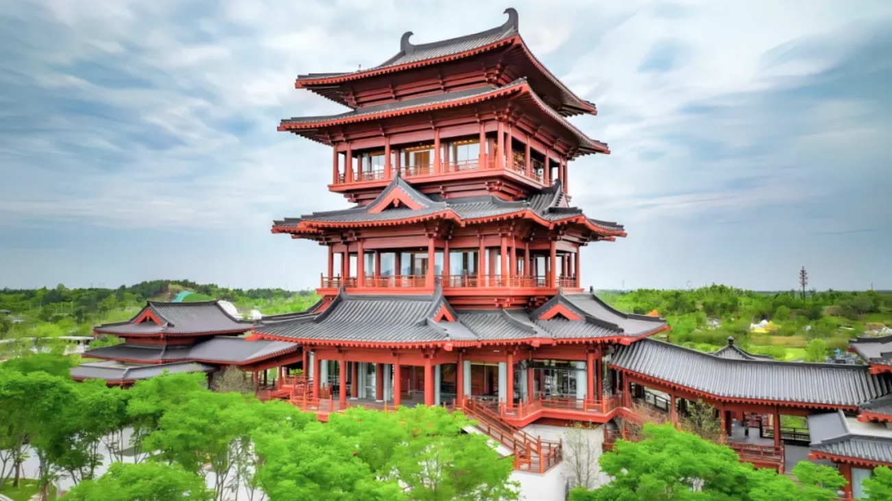世园会029029.png