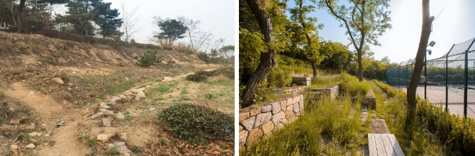 森林公园444.png