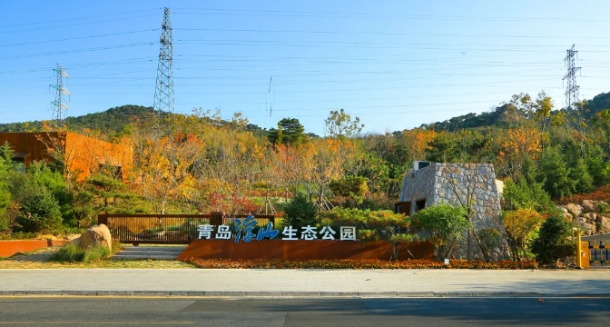 森林公园020.png