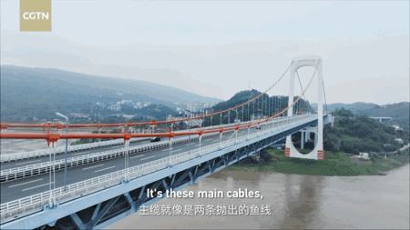 苏家坨666.gif