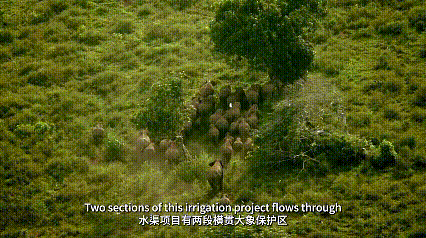 跬步千里333.gif