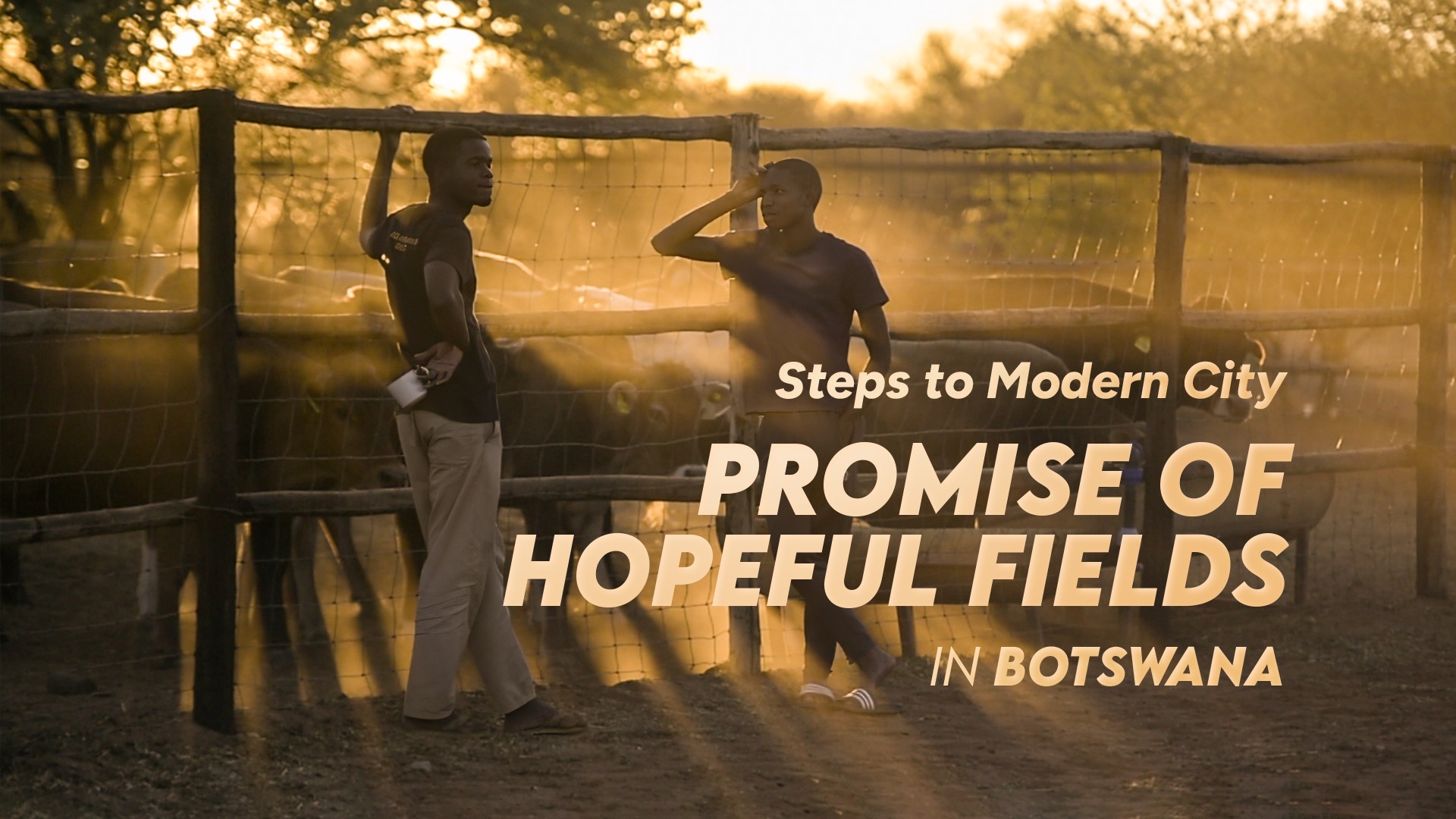 《跬步千里》第四集:原野牧歌 封面.jpg 《跬步千里》第四集:原野牧歌 封面.jpg