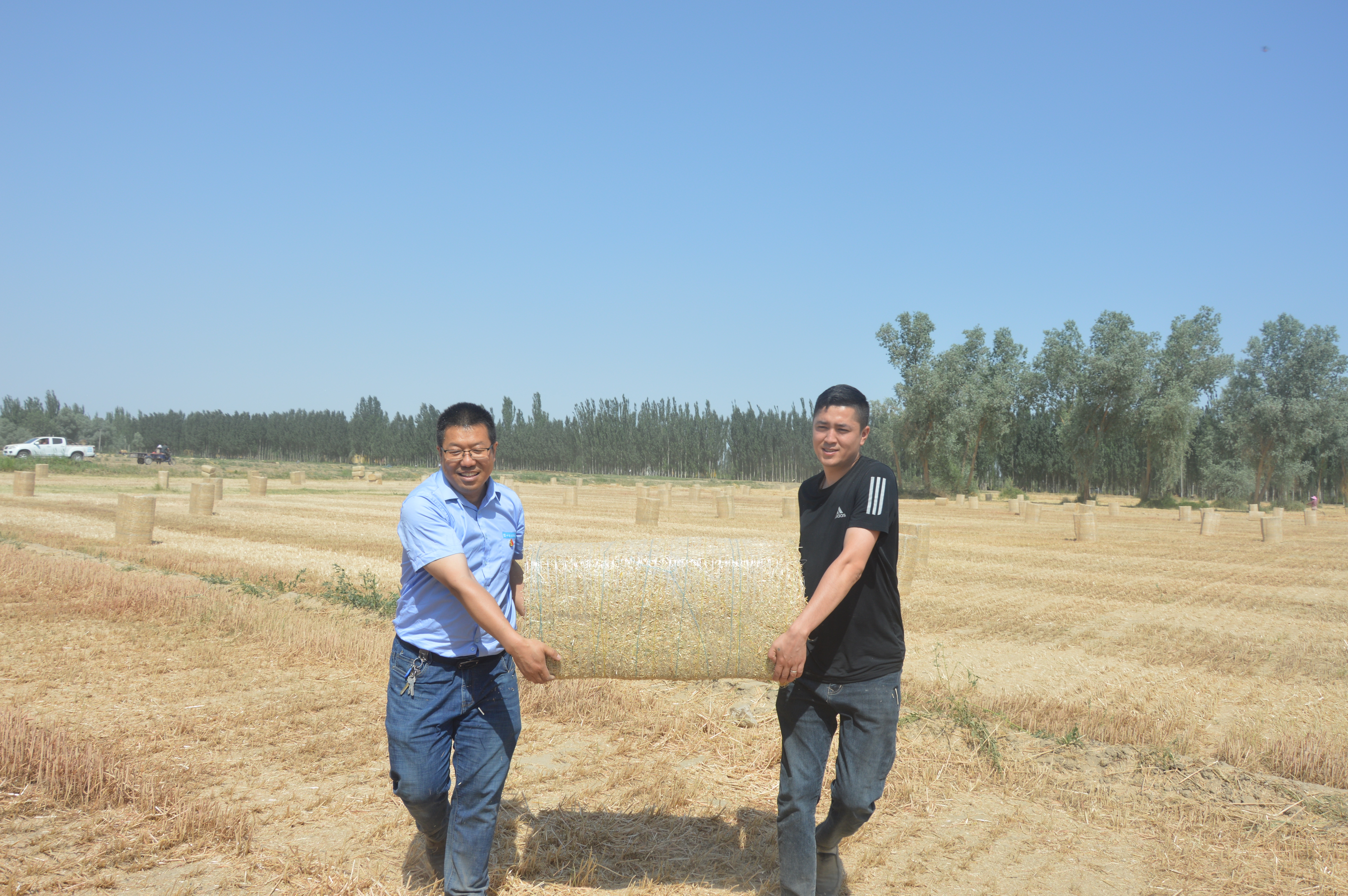 与驻村工作队员一起帮无劳动力家庭搬麦草  (1).JPG