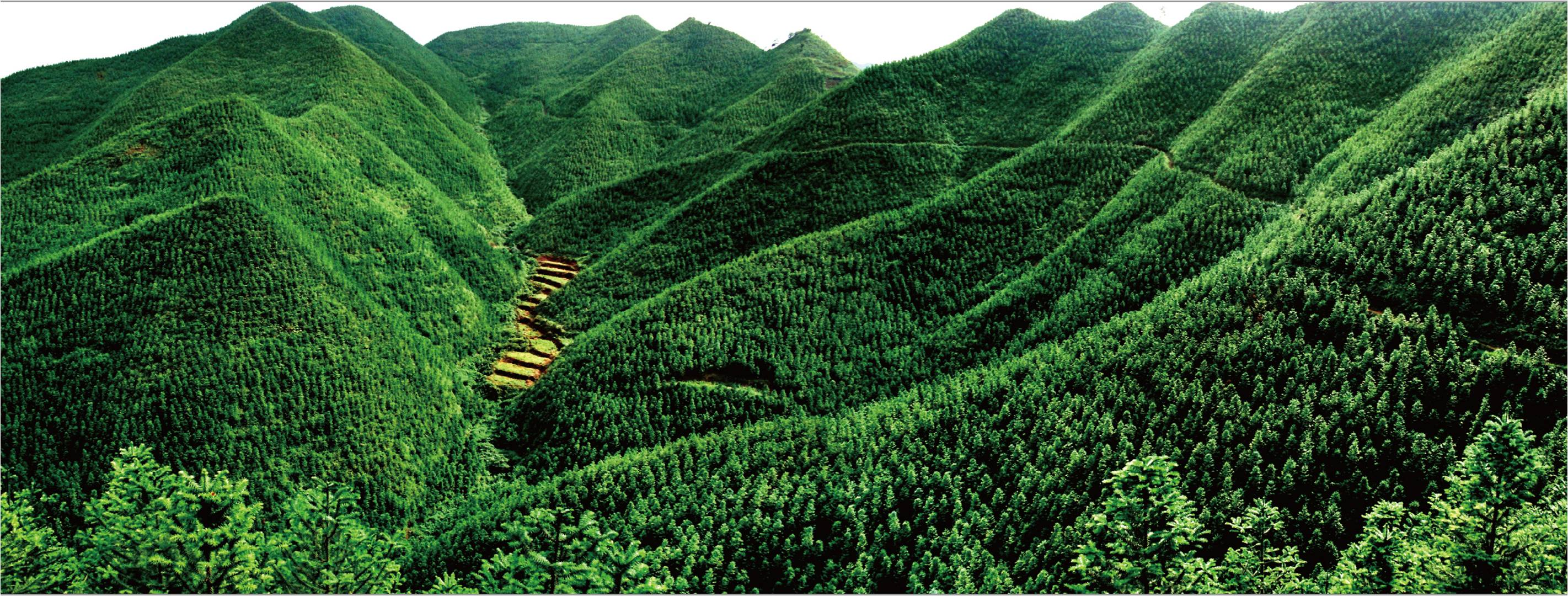 微信图片_2025-08-04_112641_069.png