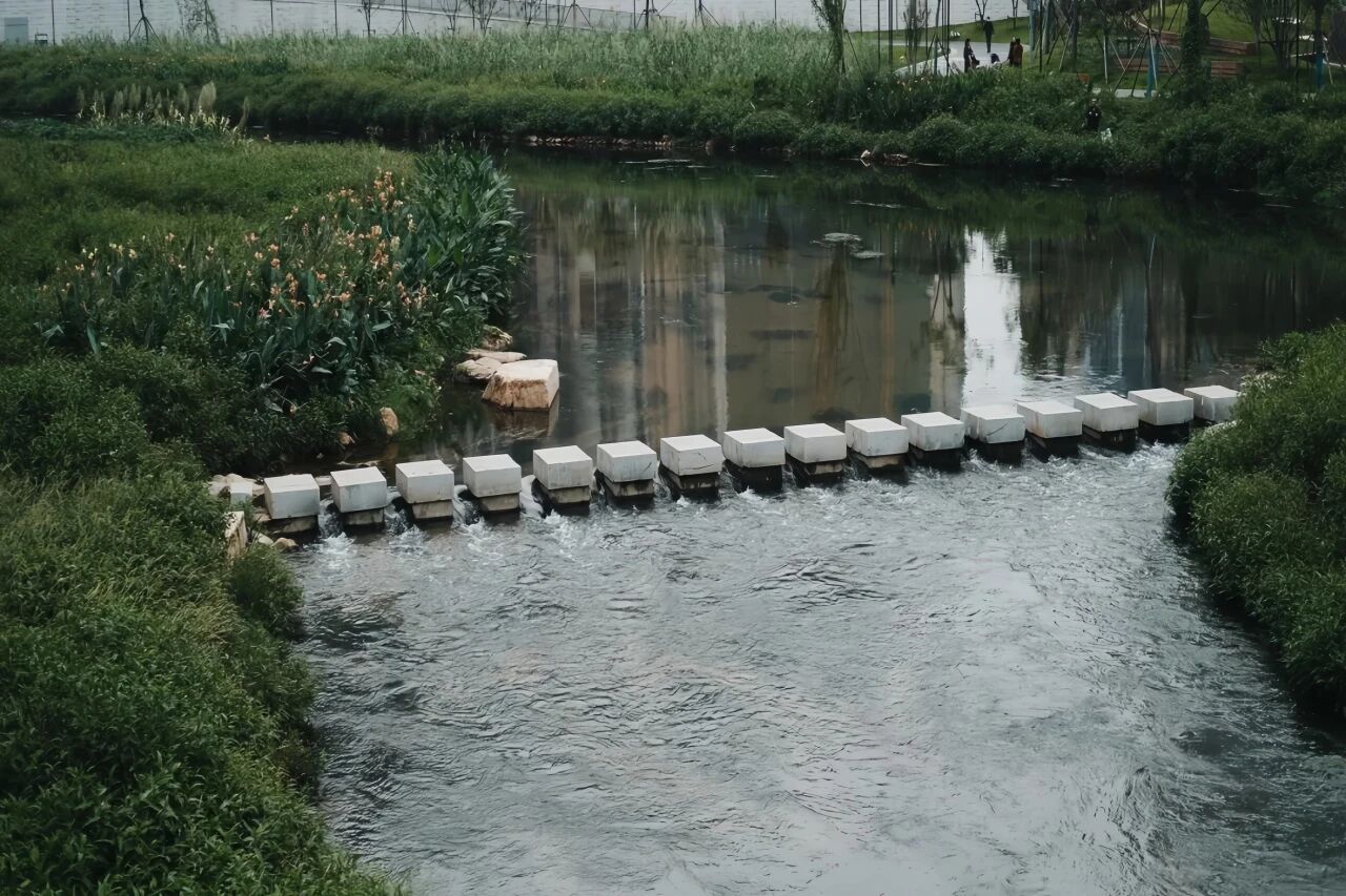 长沙444.jpg