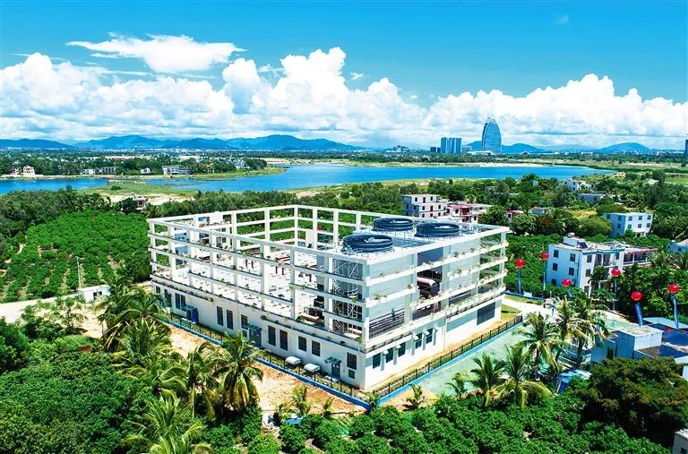 西北院4.jpg 西北院4.jpg