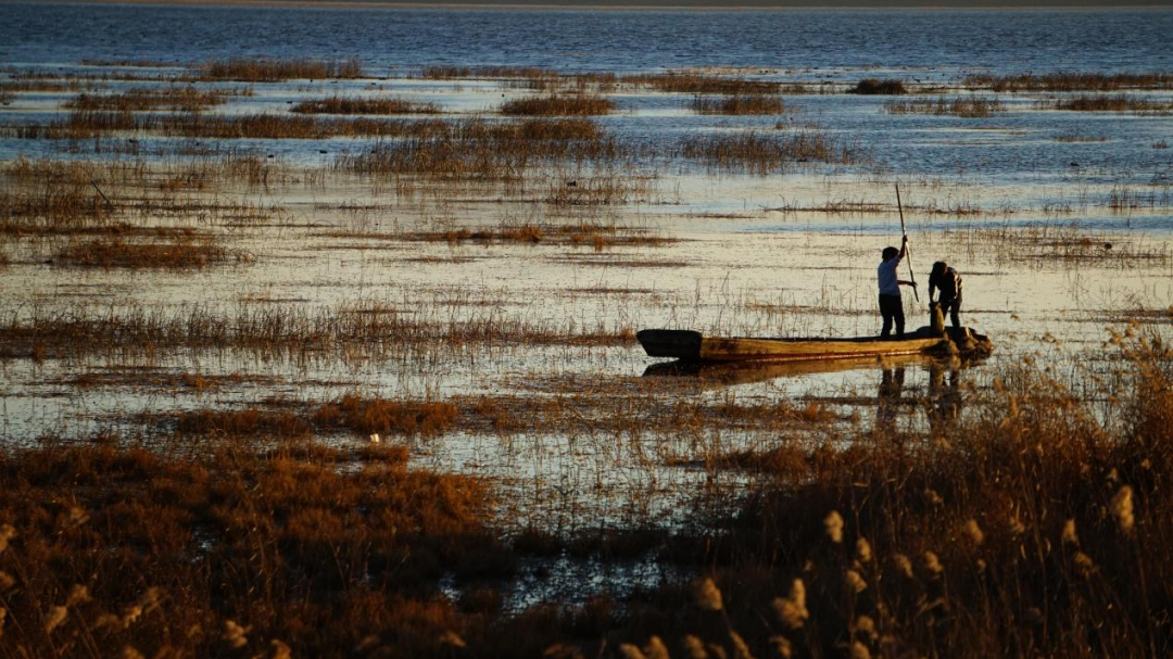 装饰15.png 装饰15.png