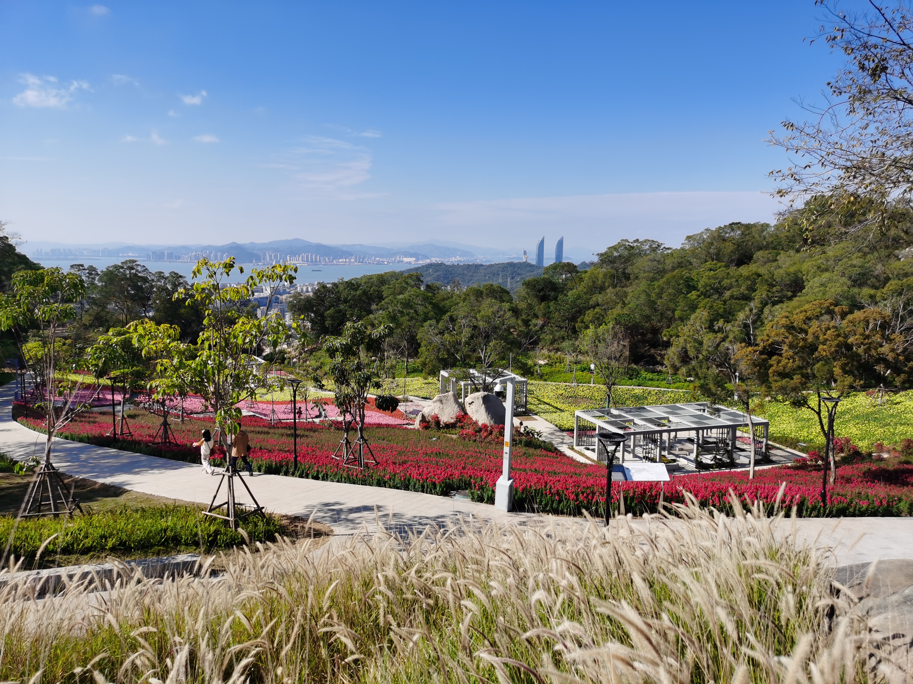 中建海峡承建的厦门东坪山健康步道(东山水库-环岛路段)景观提升工程