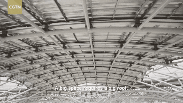 第四集444.gif