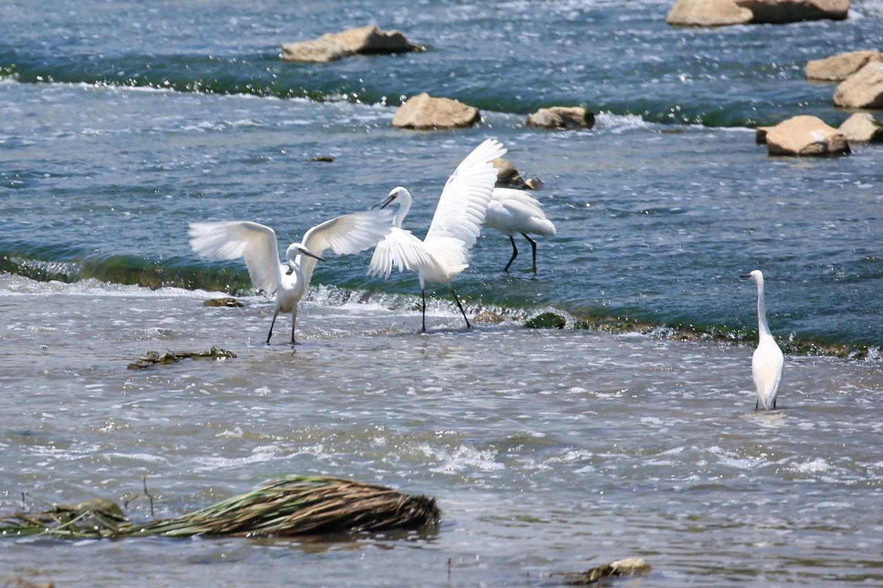 新质生产力022.jpg 新质生产力022.jpg