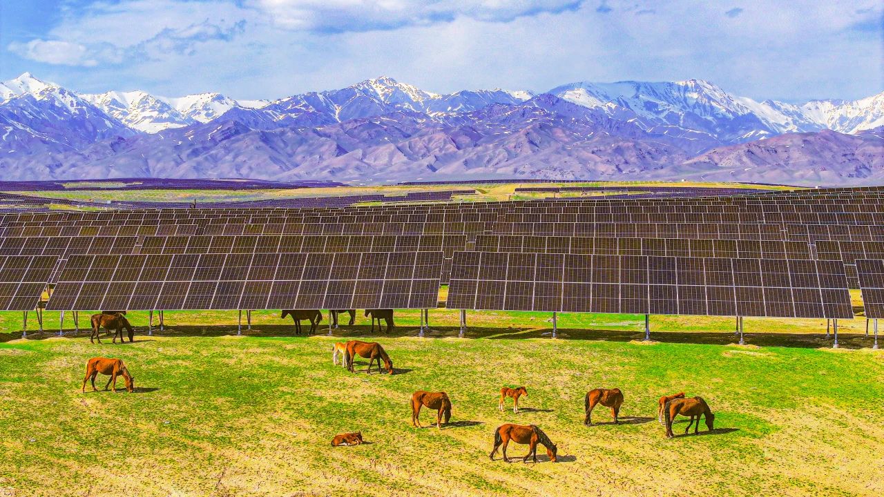 新质生产力024.jpg 新质生产力024.jpg