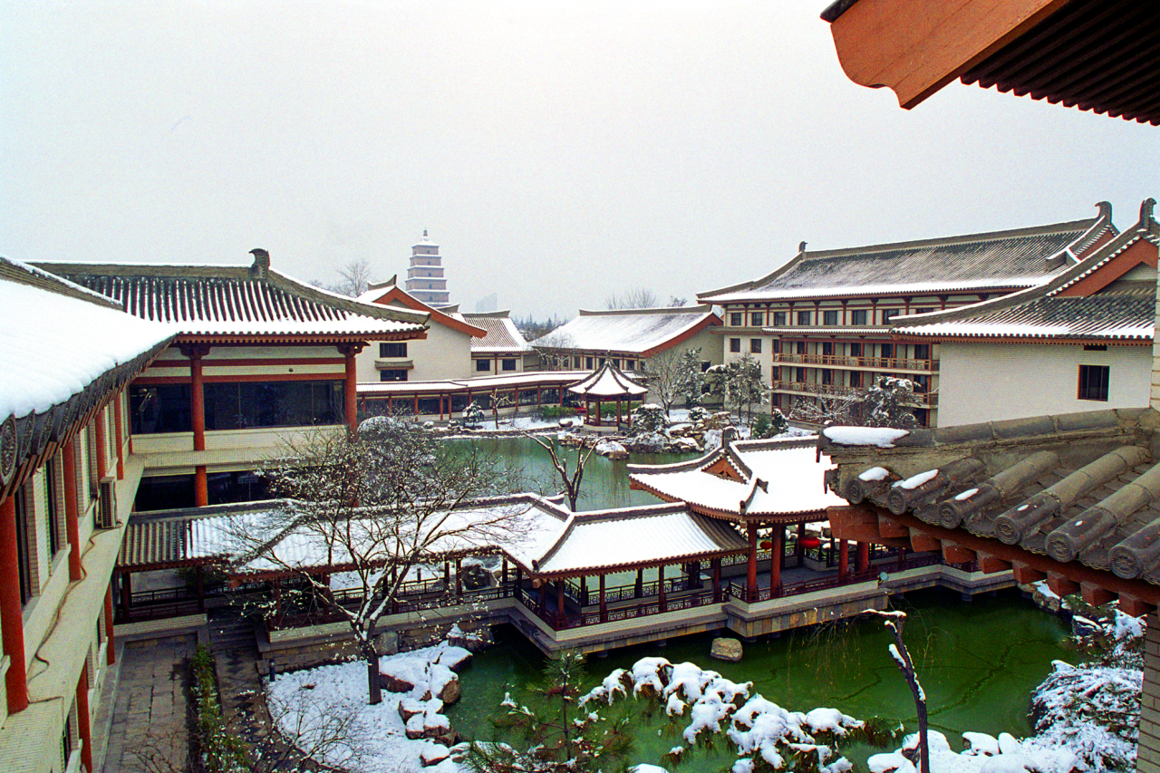 张锦秋444.png 张锦秋444.png