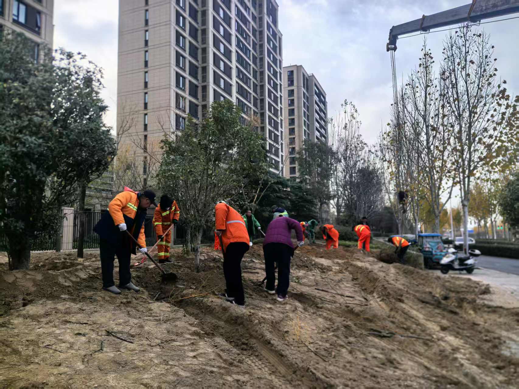 小区外围绿化带补栽3.jpg 小区外围绿化带补栽3.jpg