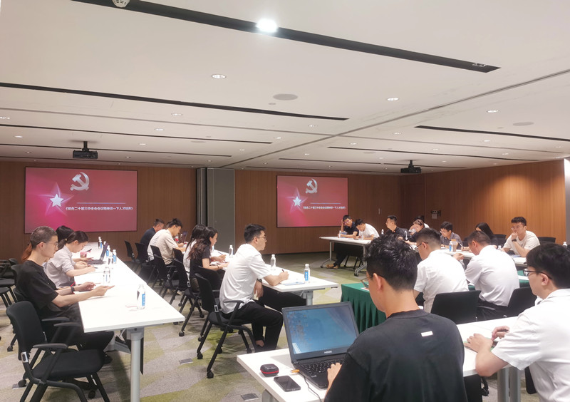 13.中建西南院中建咨询事业部第二、第三党支部开展联学共建_副本.jpg